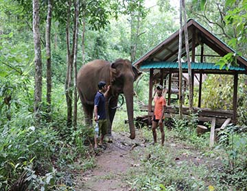 Things to Do in Cambodia